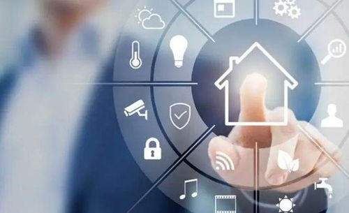 阿里与美团战略布局升级 菜鸟成立子公司与广告设计业务联动