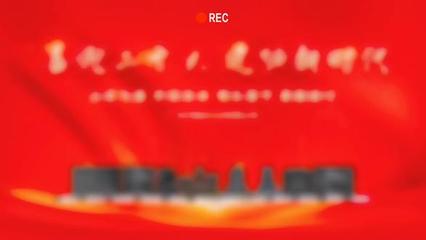 网络通讯与网络通信 数字时代的连接基石